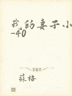 我的妻子小谨1-40