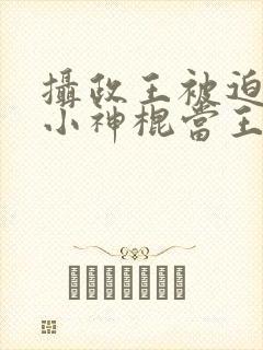 摄政王被迫娶了小神棍当王妃小说封面