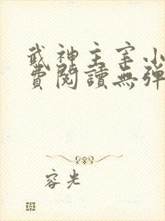 武神主宰小说免费阅读无弹窗