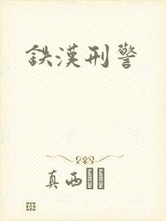 铁汉刑警封面
