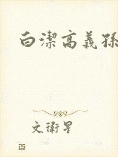 白洁高义孙倩篇封面