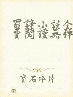 罗铮小说全文免费阅读无弹窗