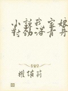 小说我家娘子不对劲洛青舟最新章节阅续封面