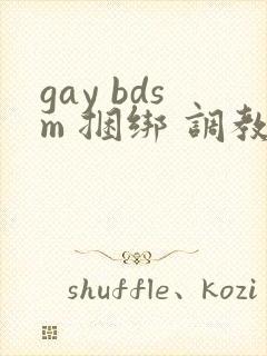 gay bdsm 捆绑 调教 男奴