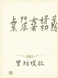 上门女婿叶辰 叶辰萧初然531