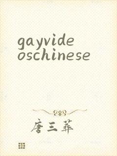 gayvideoschinese