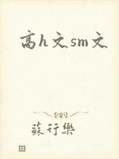 高h文sm文