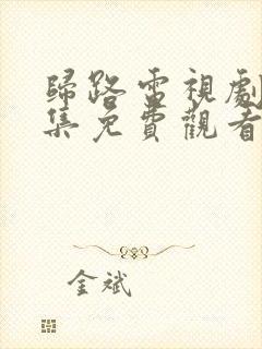 归路电视剧30集免费观看全集