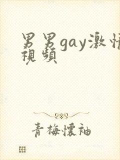 男男gay激情视频