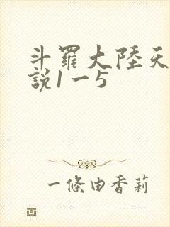 斗罗大陆天狂传说1一5封面