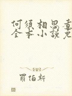 何须相思煮余年全本小说免费阅读