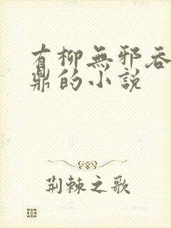 有柳无邪吞天神鼎的小说封面