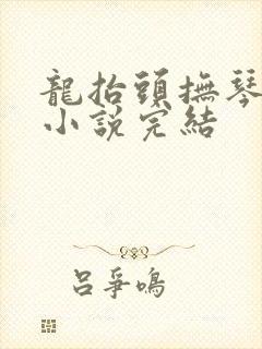 龙抬头抚琴的人小说完结封面