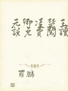元卿凌楚王妃小说免费阅读封面