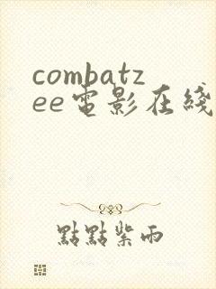 combatzee电影在线观看免费高清