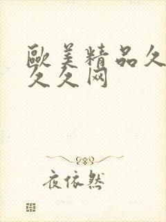 欧美精品久久久久久网