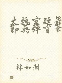 大魏宫廷最新章节无弹窗笔趣阁