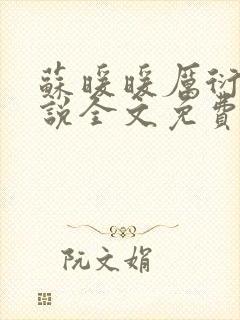 苏暖暖厉衍琛小说全文免费阅读封面