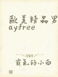 欧美精品男同gayfree封面