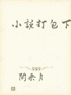 小说打包下载