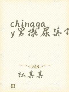 chinagay男撒尿集锦