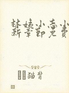 林姨小志小说最新章节免费阅读