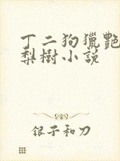 丁二狗猎艳人生梨树小说