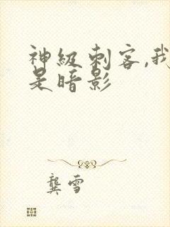 神级刺客,我即是暗影