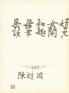 岳母和女婿的小说笔趣阁免费阅读全文无弹窗