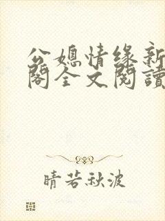 公媳情缘新笔趣阁全文阅读