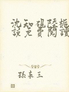 沈知砚陆栀夏小说免费阅读最新章节