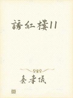 诱红楼11