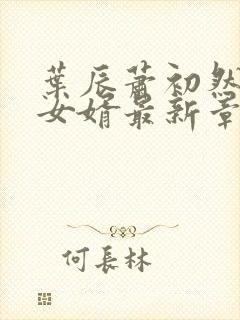 叶辰萧初然上门女婿最新章节