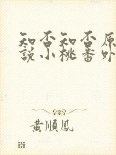 知否知否原著小说小桃番外