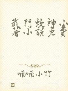 武门炊神小说原著小说免费阅读封面