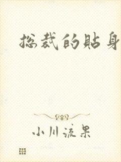 总裁的贴身女佣