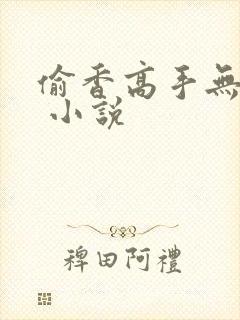 偷香高手无删减 小说