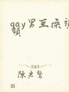 gay男互操视频