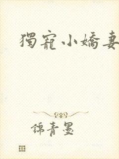 独宠小娇妻封面