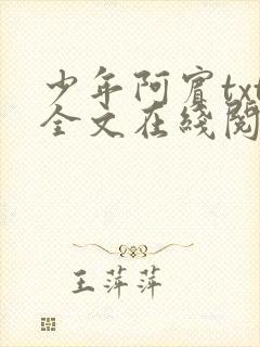 少年阿宾txt全文在线阅读