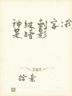 神级刺客:我即是暗影