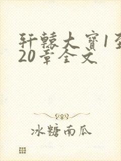 轩辕大宝1至720章全文封面