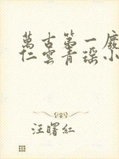 万古第一废材陆仁云青瑶小说