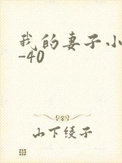 我的妻子小谨1-40
