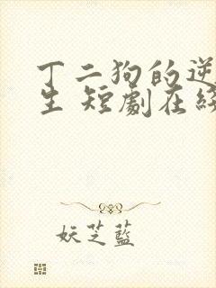 丁二狗的逆袭人生 短剧在线观看