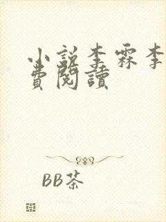 小说李霖李澜免费阅读封面