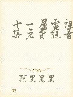 十一层电视剧全集免费观看