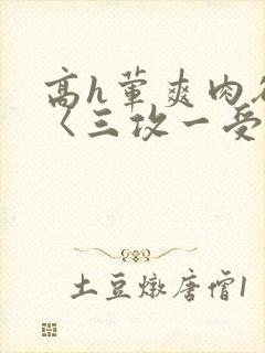 高h荤爽肉欲文〈三攻一受