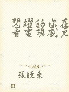 闪耀的你在线观看电视剧免费高清封面