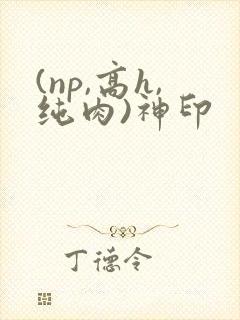 (np,高h,纯肉)神印